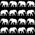 White elephant seamless pattern. Animal on black monochrome pattern